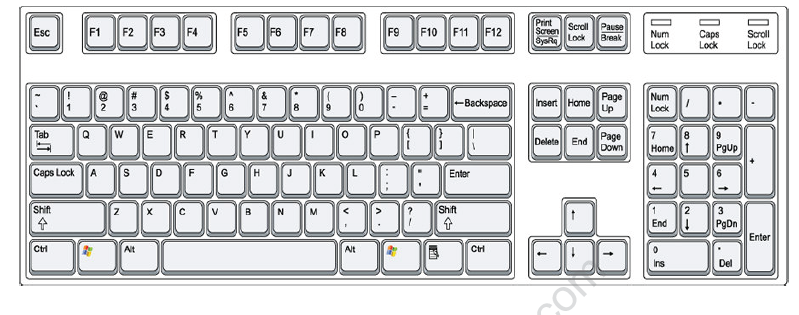 Cbse Class 1 Computer Science Operating A Keyboard Worksheet